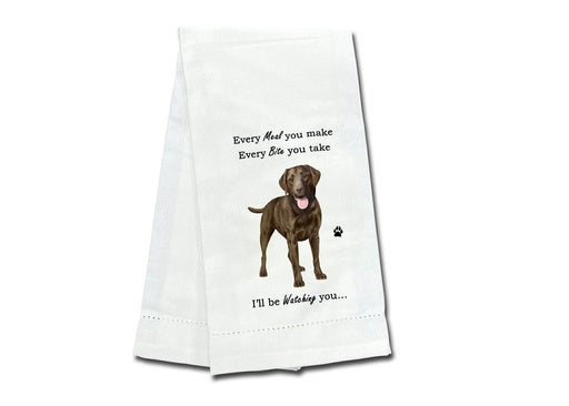 Labrador, chocolate