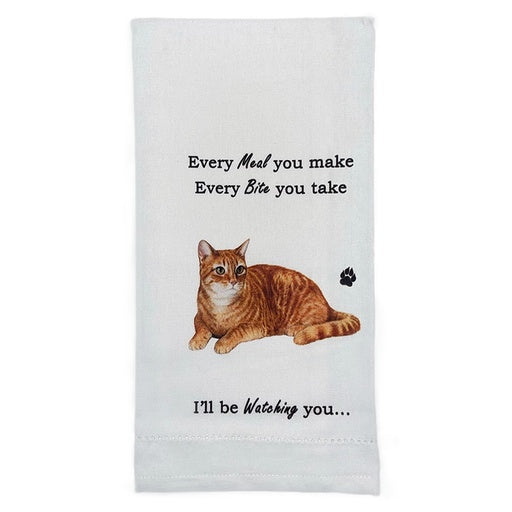 Tabby, Orange