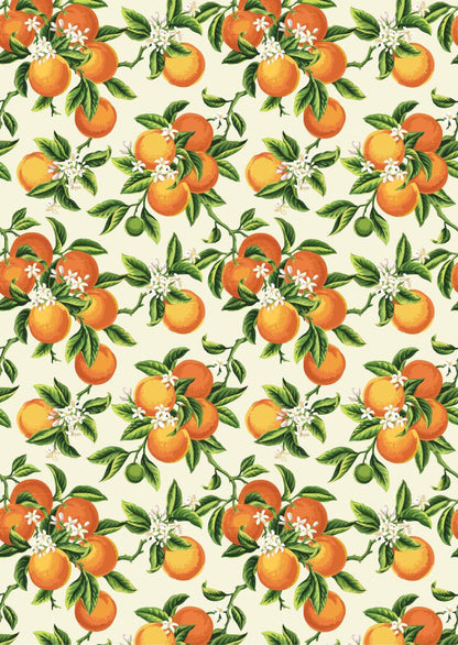 Vintage Oranges - A3 Rice Decoupage Paper