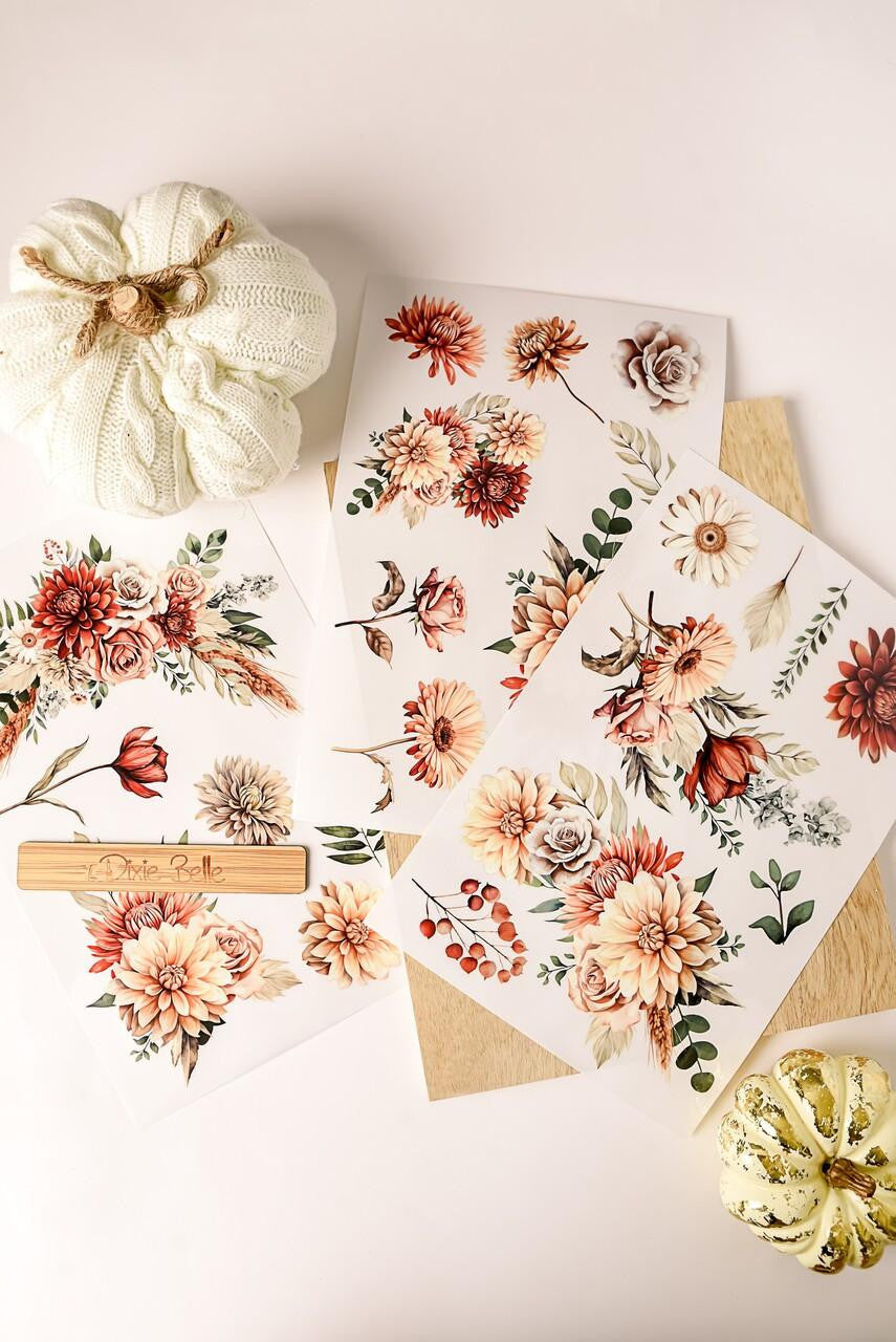 Autumn Morning - Mid Transfer