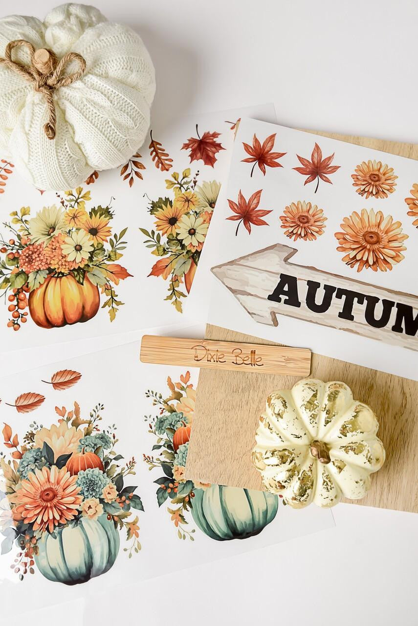 Hey Punkin - Mid Transfer