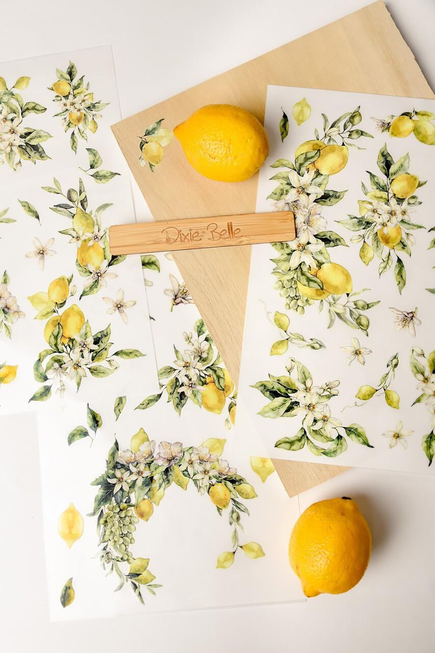 Lemon Zest - Mid Transfer