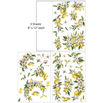 Lemon Zest - Mid Transfer