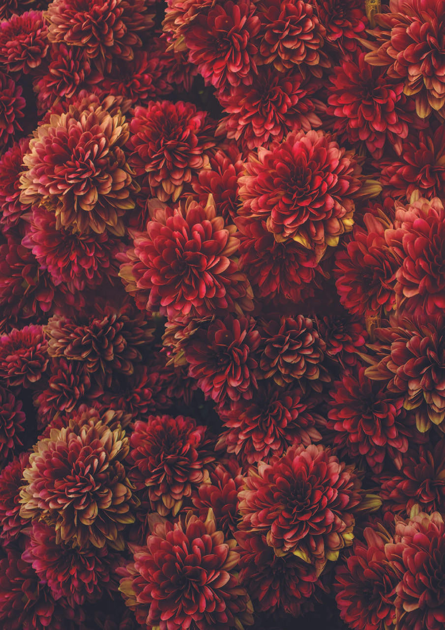 Moody Mums - A1 Rice Decoupage Paper