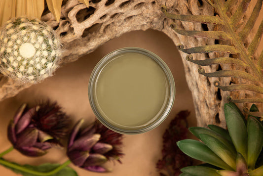 Cactus Silk All-In-One Mineral Paint®