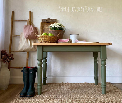 Cactus Silk All-In-One Mineral Paint®