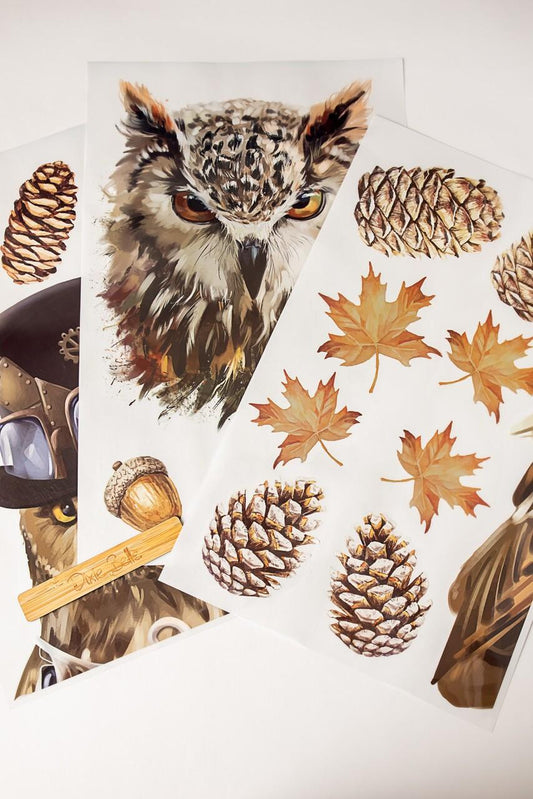 Steampunk Owl Adventure - Large Transfer