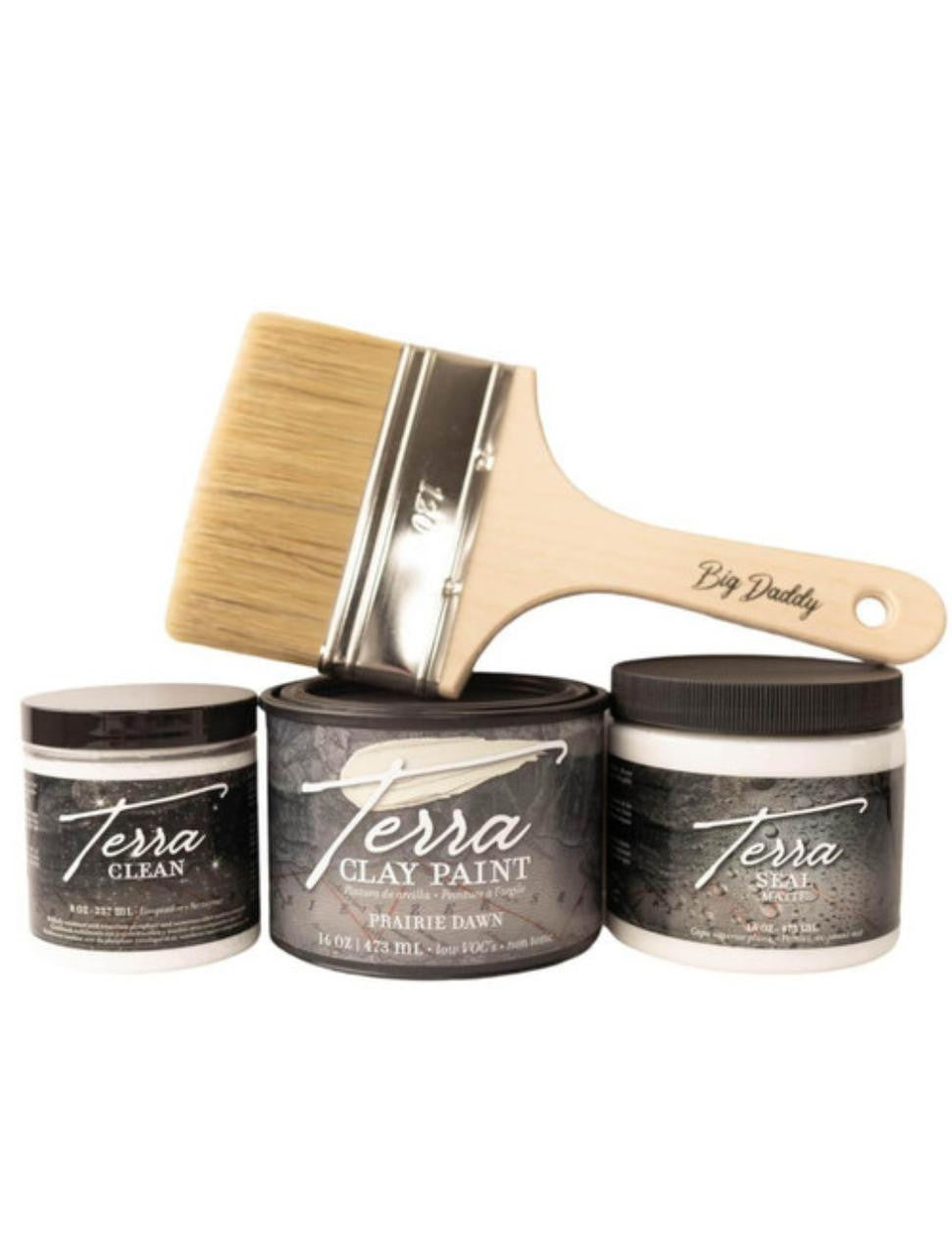 Terra Clay Paint Starter Kit